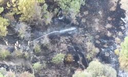 Burdur'da ormanlık alanda çıkan yangın söndürüldü