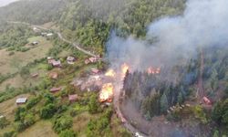 Kastamonu'daki köy yangında 9 ev küle döndü