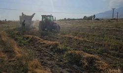 Tarımın kalbi Adilcevaz'da fasulye hasadına başlandı