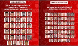 29'u kırmızı bültenle aranan 76 suçlunun Türkiye'ye iadesi sağlandı