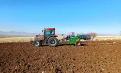 Hububat ve baklagillerin hasat süreci başarıyla tamamlandı