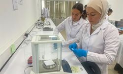 3 boyutlu biyoyazıcıyla 'melanom' tedavisine yönelik 'mikroiğne yaması' geliştirildi