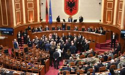 Arnavutluk'ta, ülkedeki gösterilerin gündeme alınması talebi mecliste arbedeye sebep oldu