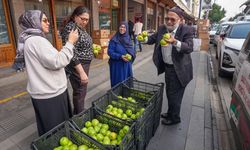 'Elmacı Dede' Diyarbakır'daki askerlere ve vatandaşlara elma getirdi
