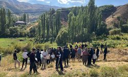 Hakkari'de otomobil ile kamyonetin çarpışması sonucu 1 çocuk öldü, 7 kişi yaralandı