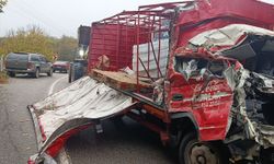 Kırklareli'nde şarampole devrilen kamyondaki 1 kişi öldü, 1 kişi yaralandı