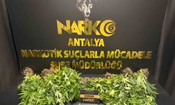 Antalya'da 32 operasyonda 28 bin 519 sentetik ecza ele geçirildi