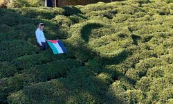 Bayrak sevgisini çay bahçesine işledi