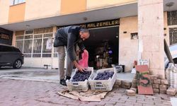 Bursalı çiftçi erikleri dalında bırakmadı, çöpe atmadı fenomen oldu