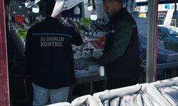 Erzurum'da balık satış noktalarına sıkı denetim