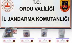 Ordu'da jandarmadan uyuşturucu operasyonları: 26 şüpheli yakalandı