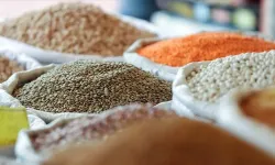 Türkiye'den 9 ayda 8 milyar 880 milyon dolarlık hububat ve bakliyat ihracatı