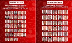 Son 1 ayda kırmızı bültenle ve ulusal seviyede aranan 63 suçlu Türkiye'ye getirildi
