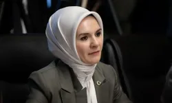Bakan Göktaş: (Yağışlardan etkilenen vatandaşlar) Acil afet yardımı kapsamında bir kaynak aktarımımız olacak