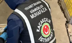Edirne'deki iki gümrük kapısında yapılan operasyonlarda 7 bin 160 tarihi eser ele geçirildi