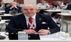 MHP'li Karakaya'dan Aruşa'da Rum temsilciye sert yanıt: 'Türkiye, Kıbrıs Türk halkının yanında durmaya devam edecektir'