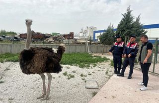 Aksaray'da yasa dışı hayvan ticareti yapan kişiye para cezası