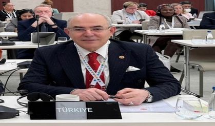 MHP'li Karakaya'dan Aruşa'da Rum temsilciye sert yanıt: 'Türkiye, Kıbrıs Türk halkının yanında durmaya devam edecektir'