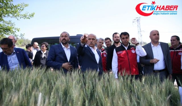 Bakan Kirişci 21 milyon ton buğday rekoltesi beklendiğini açıkladı: