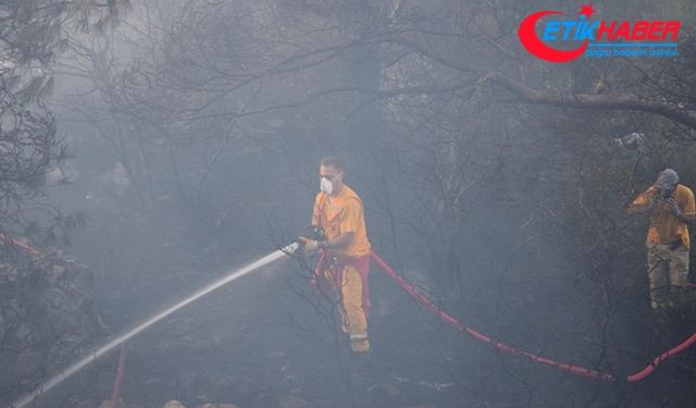 Bilecik'teki orman yangınına müdahale sürüyor