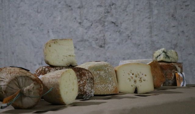 Kayadan oyma depolarda olgunlaştırılan peynirlerin lezzeti yabancıların da dikkatini çekti