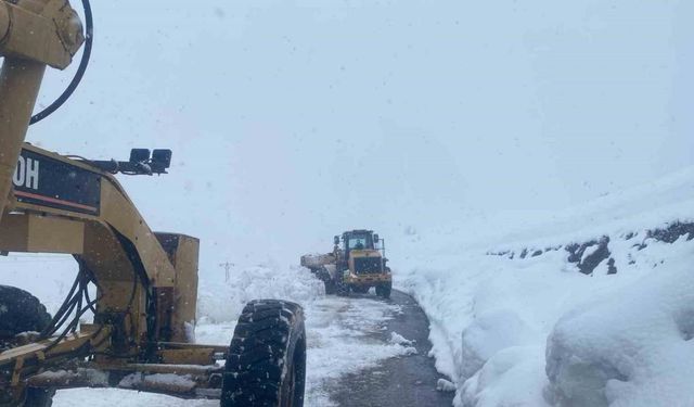 Hakkari’de kapanan 191 yerleşim yolu yeniden açıldı