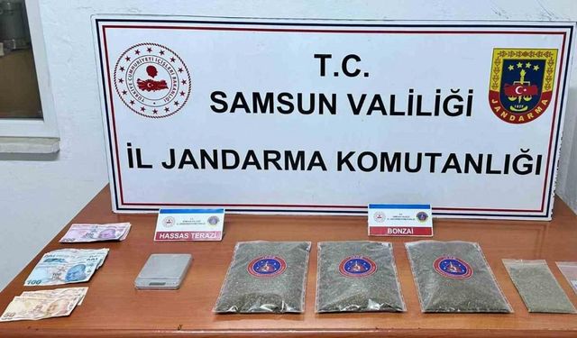 Samsun’da jandarma 1 kilo 50 gram bonzai ele geçirdi: 1 gözaltı