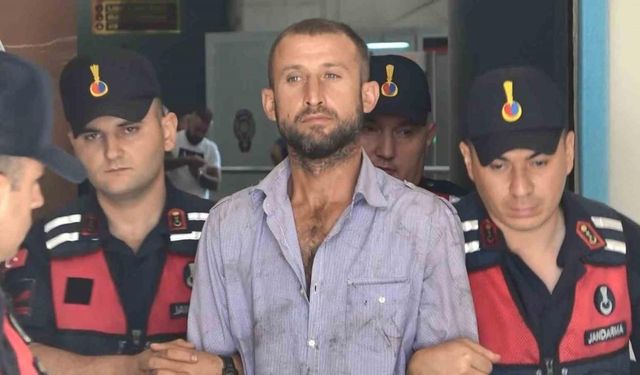 Ormanı yakıp mahkemede "Orman sevdalısıyım" diyen sanığa 8 yıl hapis