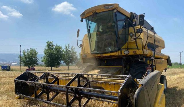 Osmaniye’de yüz güldüren buğday hasadı