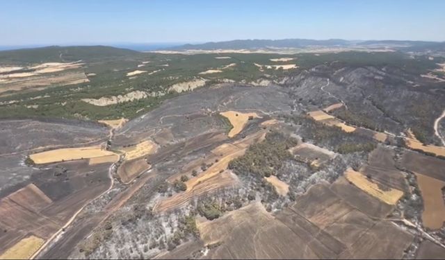 Çanakkale’nin ciğerleri yandı... Tam 952 futbol sahası büyüklüğünde