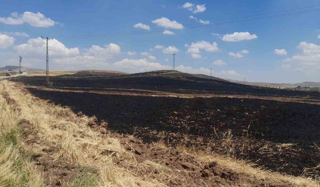 70 dönüm arpa ekili alan yanarak kül oldu