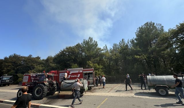 OMÜ kampüsündeki ormanlık alanda çıkan yangın kontrol altına alındı