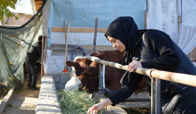 Gıda mühendisi 2 çocuk annesi devletten aldığı destek ile genç yaşta besici oldu