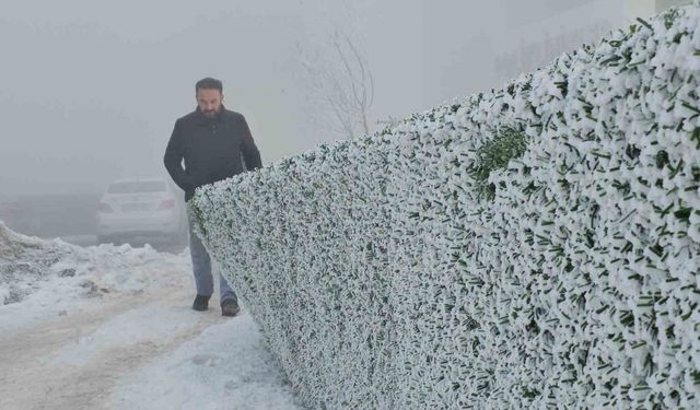Bitlis’te dondurucu soğuk etkili oluyor: Ağaçlar kırağıyla kaplandı