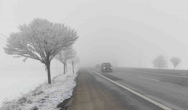 Bitlis’te sis etkili oldu