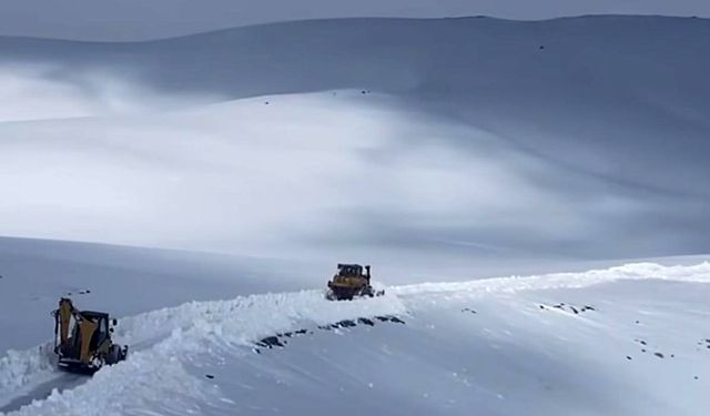 Şırnak’ta kar esareti sürüyor