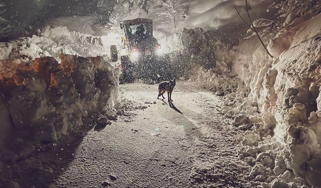 Artvin'de ve Rize'de kapalı 316 yerleşim yeri yolunda karla mücadele sürüyor