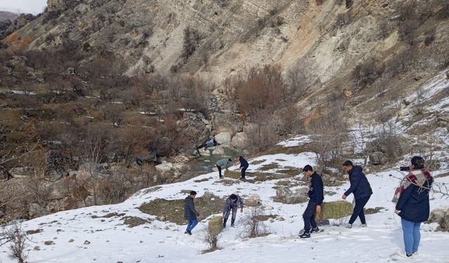 Tunceli'de üniversite öğrencileri yaban hayvanları için doğaya yem bıraktı