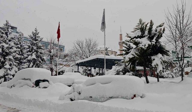 Artvin şehir merkezinde kar esareti