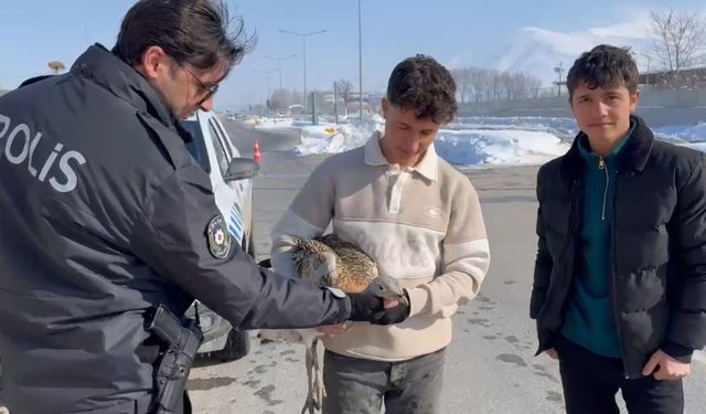 Duyarlı kardeşler yaralı toy kuşunu yetkililere teslim etti