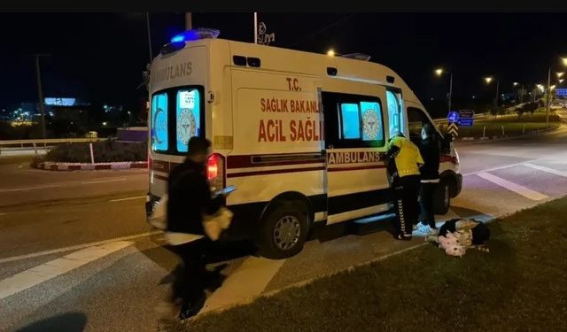 Köpeğe çarpmayayım derken kaza yaptı, 4 kişi yaralandı