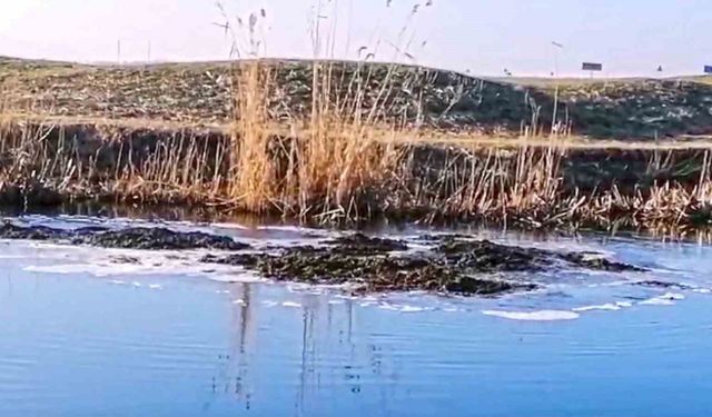 Yer altında fışkıran toprak görenleri hayrete düşürdü