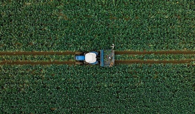 Kırsalda kalkınma 3 yılda yaklaşık 65,5 milyar liralık yatırımla desteklenecek