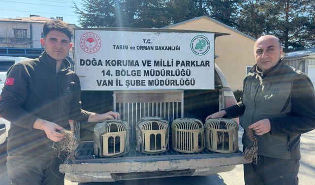 Van'da kaçak keklik avlayanlara 93 bin 149 lira ceza uygulandı