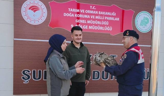Yozgat'ta jandarmanın bulduğu yaralı puhu tedaviye alındı