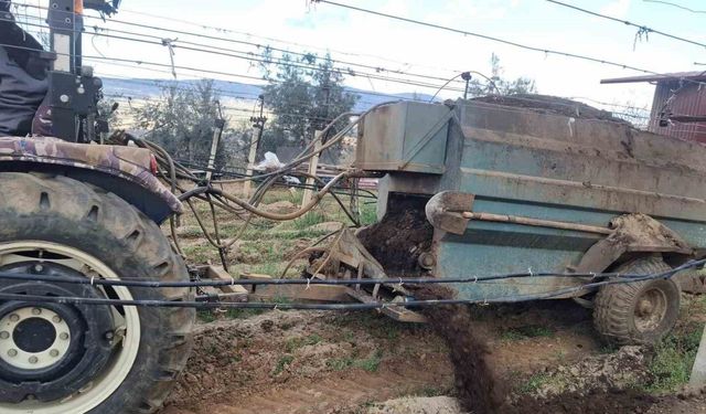 Bağlara önce milli toprak ardından doğal hayvan gübresi