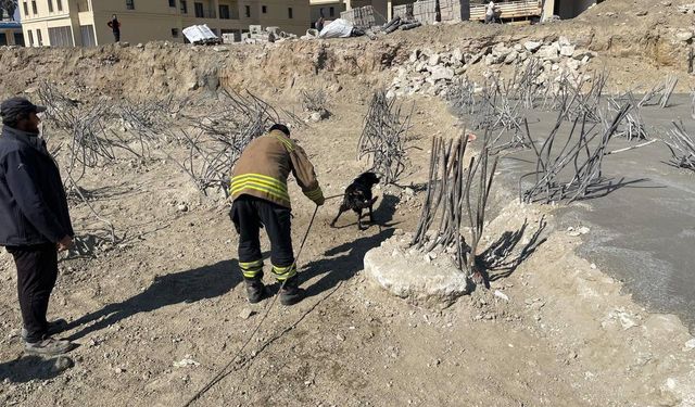 İnşaat alanındaki 15 metrelik çukura düşen köpek kurtarıldı