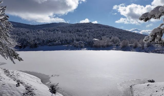 Karlar altındaki Çamlık Milli Parkı göz kamaştırdı