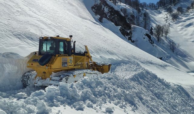 Artvin'de çığ nedeniyle kapanan 6 köy yolu ulaşıma açıldı