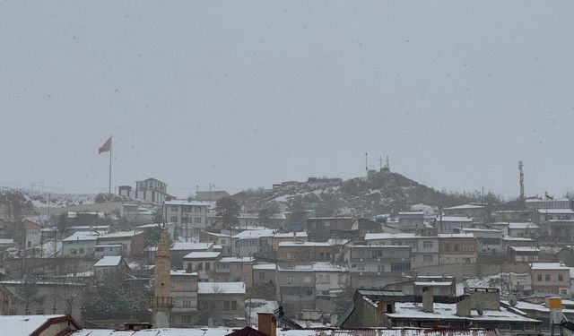Bayburt, Ordu, Trabzon ve Giresun'da kar etkili oldu